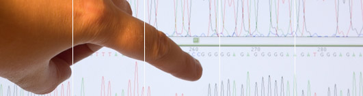 Obtain a DNA Profile for inheritance and identification issues.