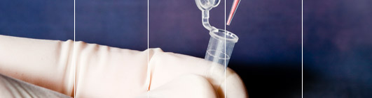 easyDNA offers only Accredited DNA Tests
