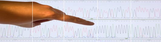 Obtain your electropherogram from easyDNA Australia Obtain your electropherogram from easyDNA South Africa