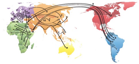 maternal lineage