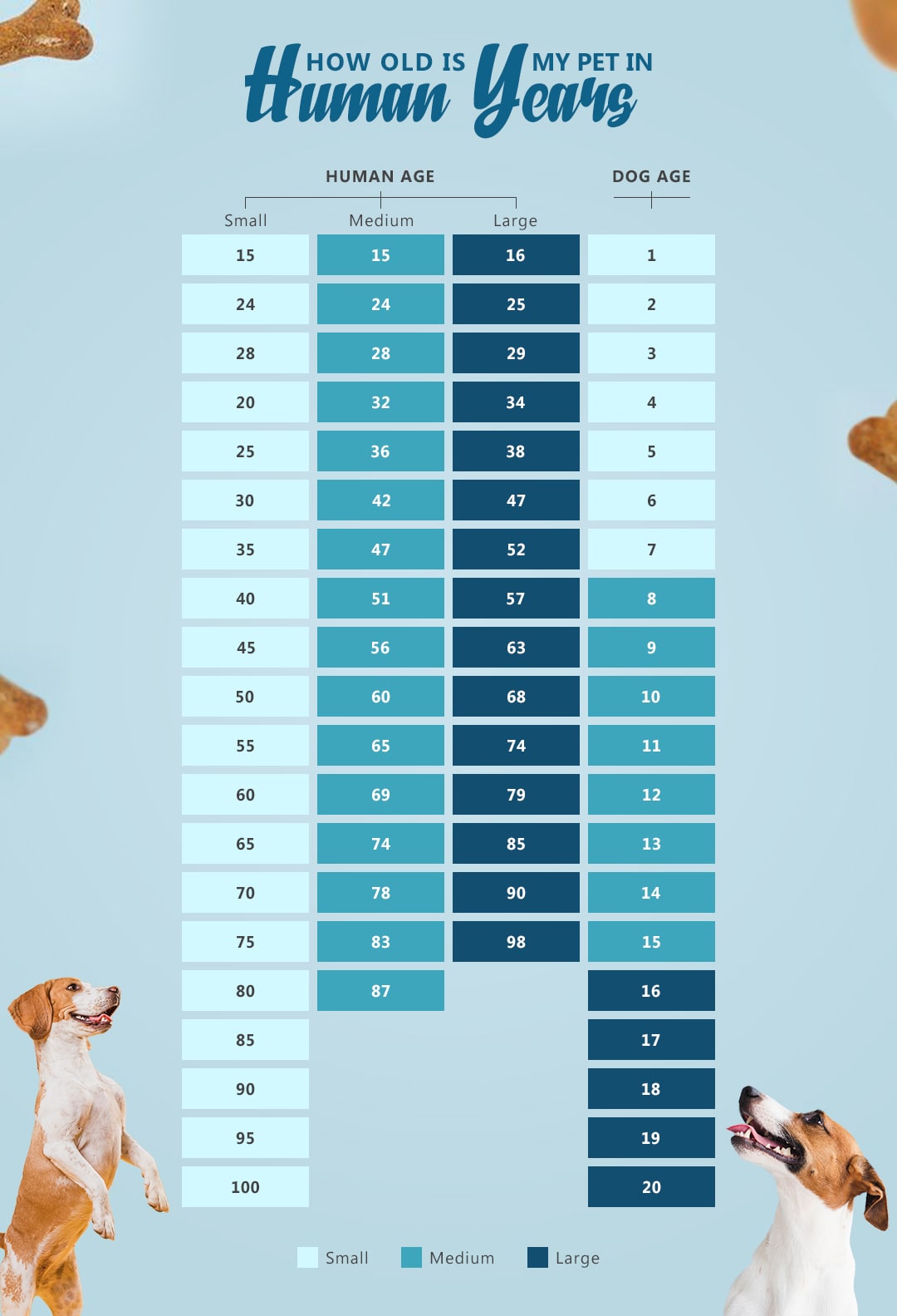 calculating a dog's age in human years
