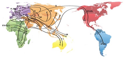 paternal lineage test map paternal lineage test map