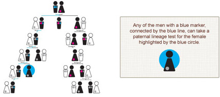 paternal lineage test tree